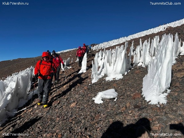 ���� ���� ������. ������ 2023. 1-� ������  ��������� �������, ���� 105