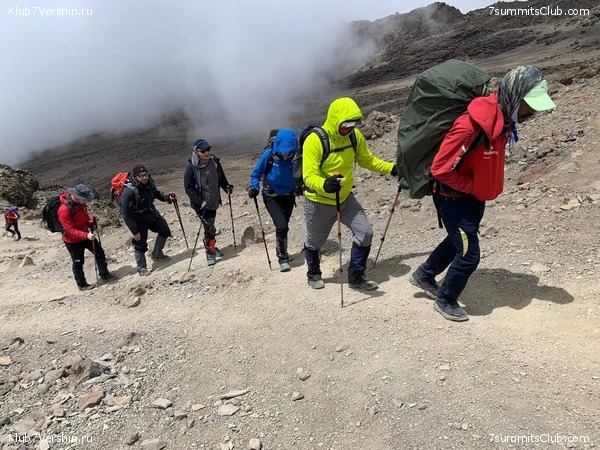 ������������ 2023. ������ �. �������, ���� 37