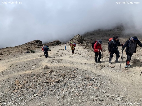 ������������ 2023. ������ �. �������, ���� 38