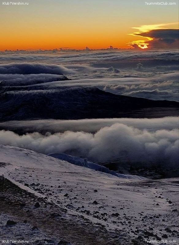 ������������ 2023. ������ �. �������, ���� 118