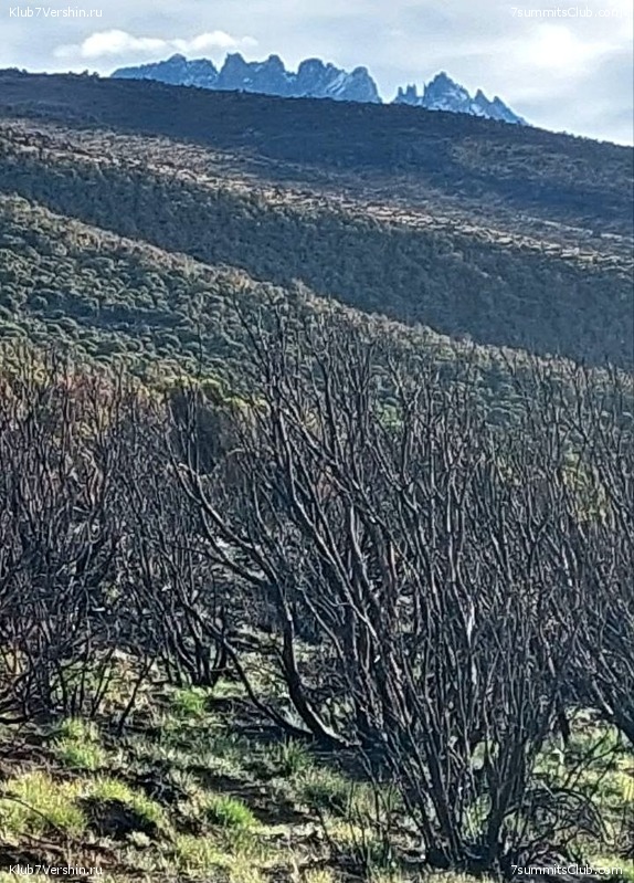 ������������ 2023. ������ �. �������, ���� 129