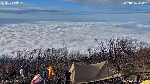 ������������ 2023. ������ �. �������, ���� 17