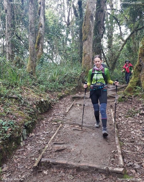 ������������ 2023. ������ �. �������, ���� 78