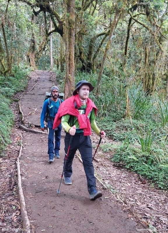 ������������ 2023. ������ �. �������, ���� 126