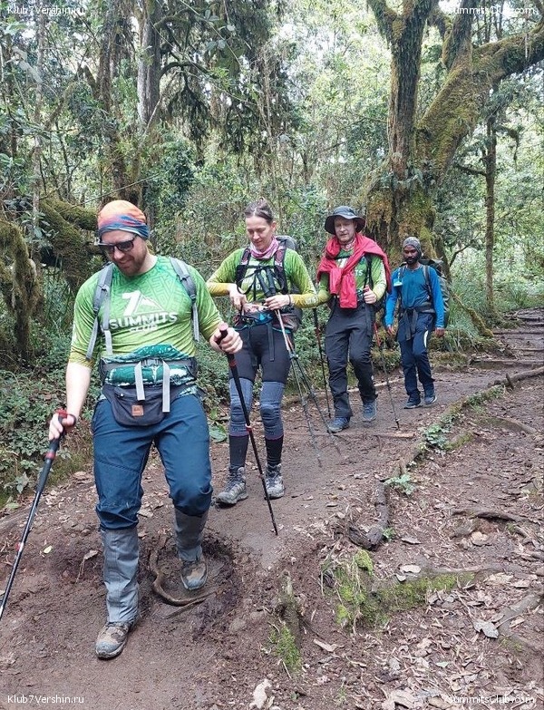 ������������ 2023. ������ �. �������, ���� 93