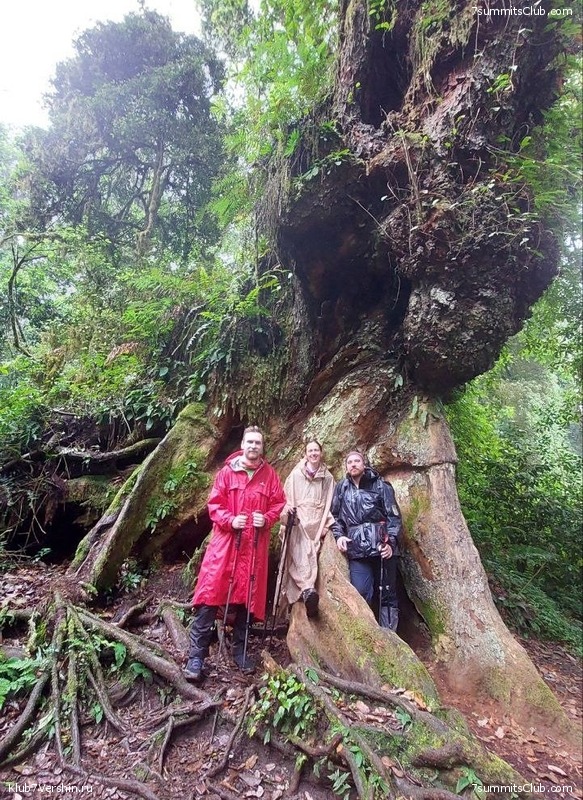 ������������ 2023. ������ �. �������, ���� 119