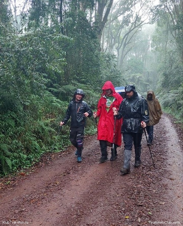 ������������ 2023. ������ �. �������, ���� 73