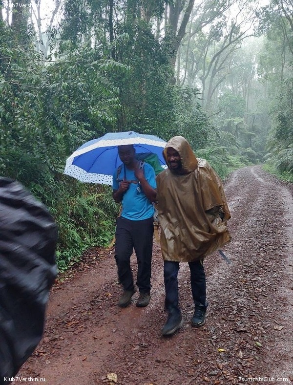 ������������ 2023. ������ �. �������, ���� 97