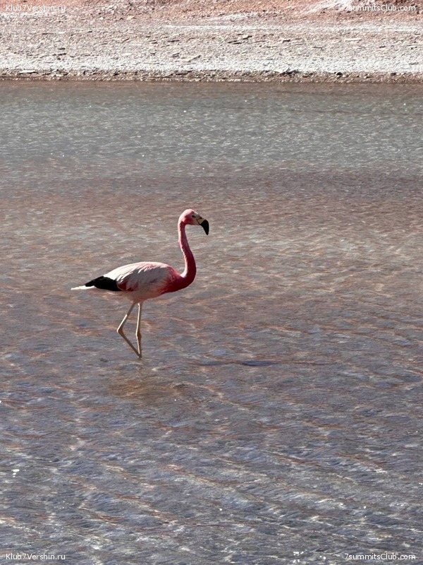 ���� ���� ������ ������ 2023. ������� ���������, ���� 112