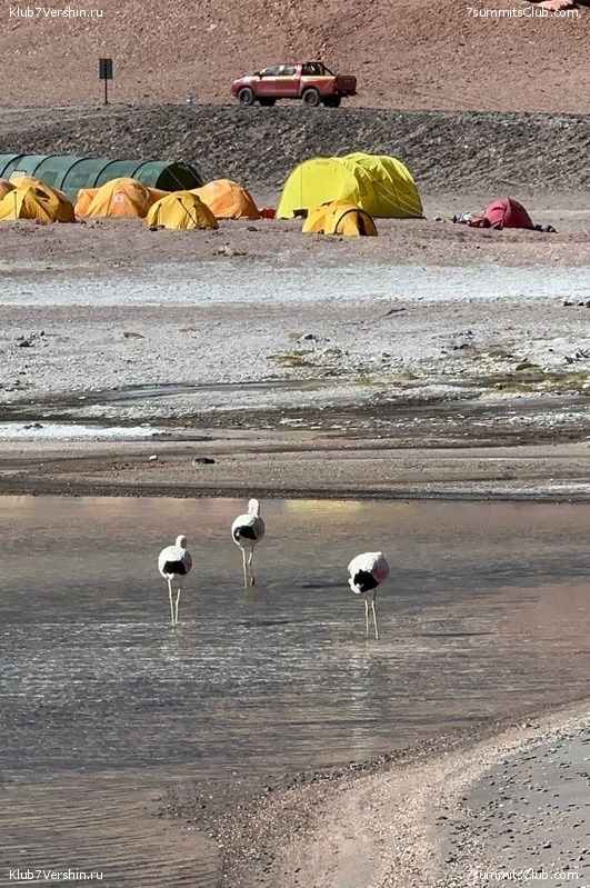 ���� ���� ������ ������ 2023. ������� ���������, ���� 128