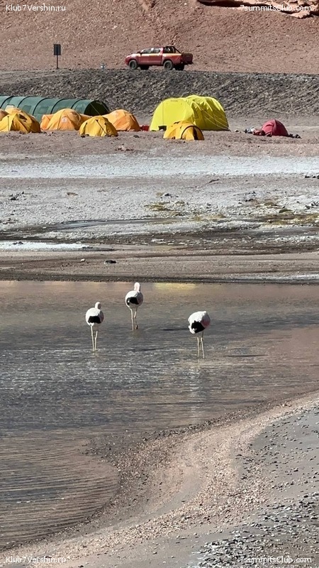 ���� ���� ������ ������ 2023. ������� ���������, ���� 129