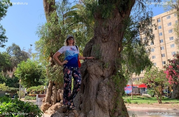 ���� ���� ������ ������ 2023. ������� ���������, ���� 19