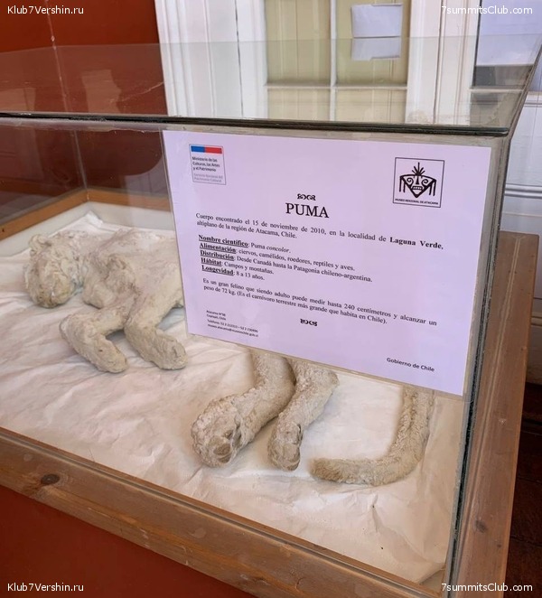 ���� ���� ������ ������ 2023. ������� ���������, ���� 75