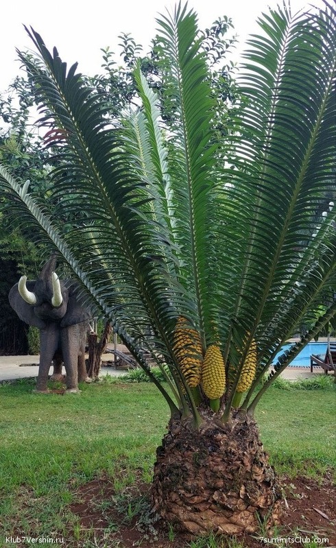 ������������ 2023. ������ �. �������. ������ ������, ���� 168