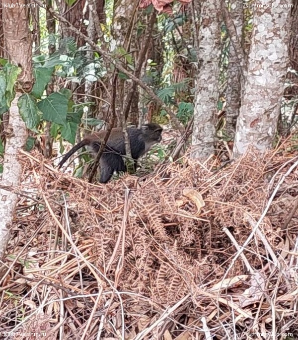 ������������ 2023. ������ �. �������. ������ ������, ���� 55