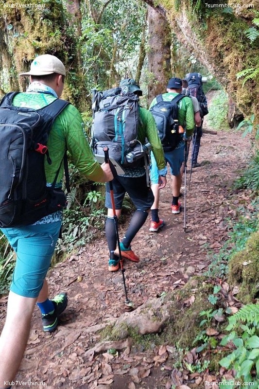 ������������ 2023. ������ �. �������. ������ ������, ���� 157