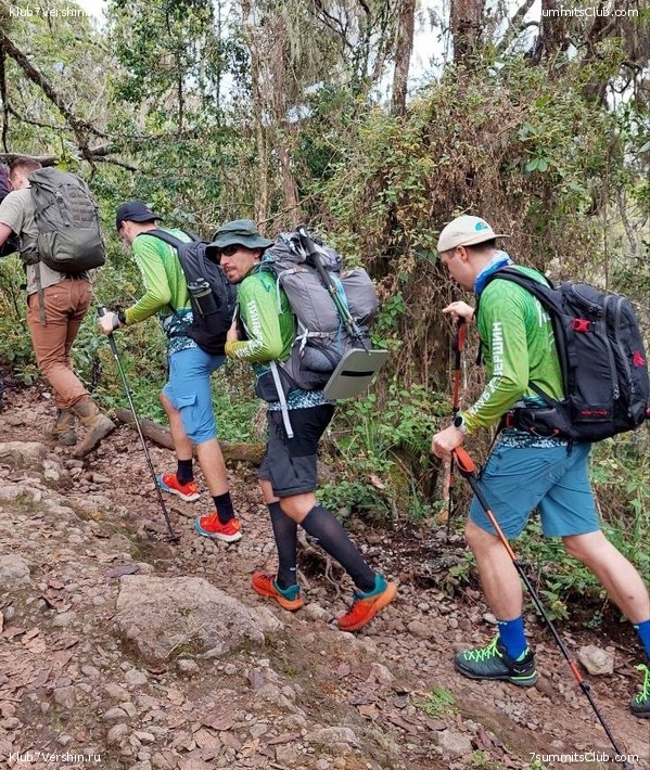 ������������ 2023. ������ �. �������. ������ ������, ���� 61