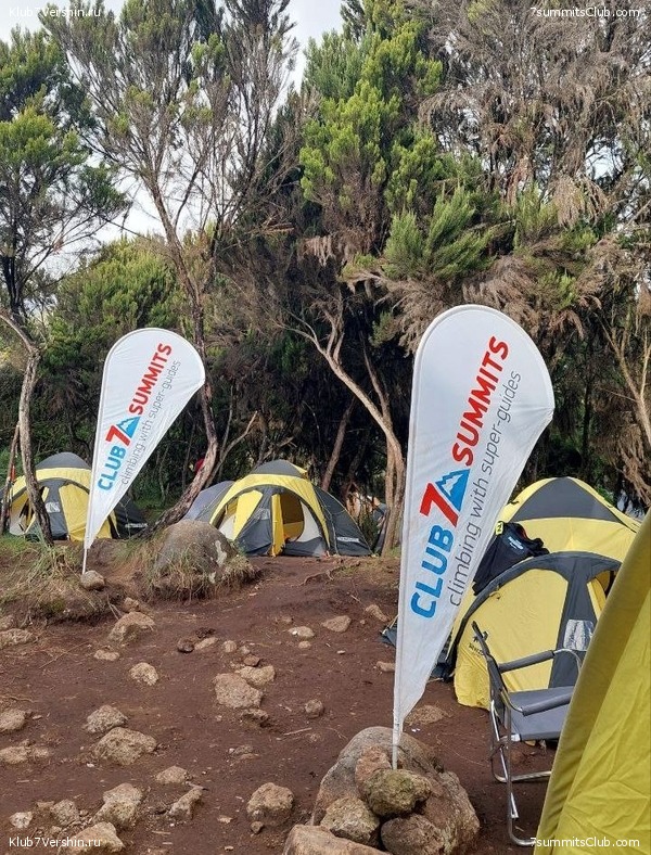 ������������ 2023. ������ �. �������. ������ ������, ���� 109