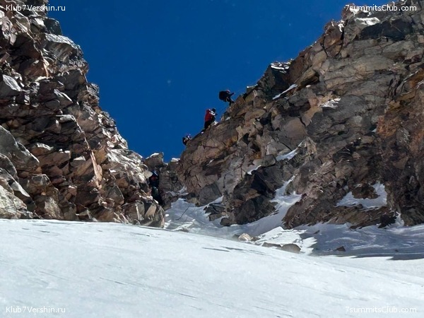   .  2023. 1-    ,  115