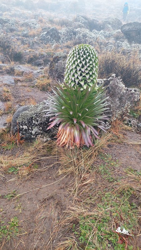 ������������ 2023 �� �������, ���� 83