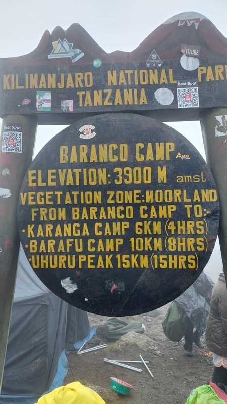 ������������ 2023 �� �������, ���� 84