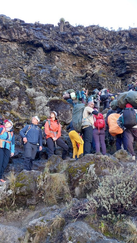 ������������ 2023 �� �������, ���� 88