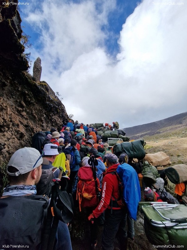 ������������ 2023 �� �������, ���� 71