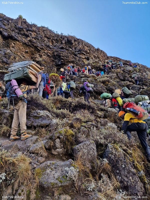 ������������ 2023 �� �������, ���� 73