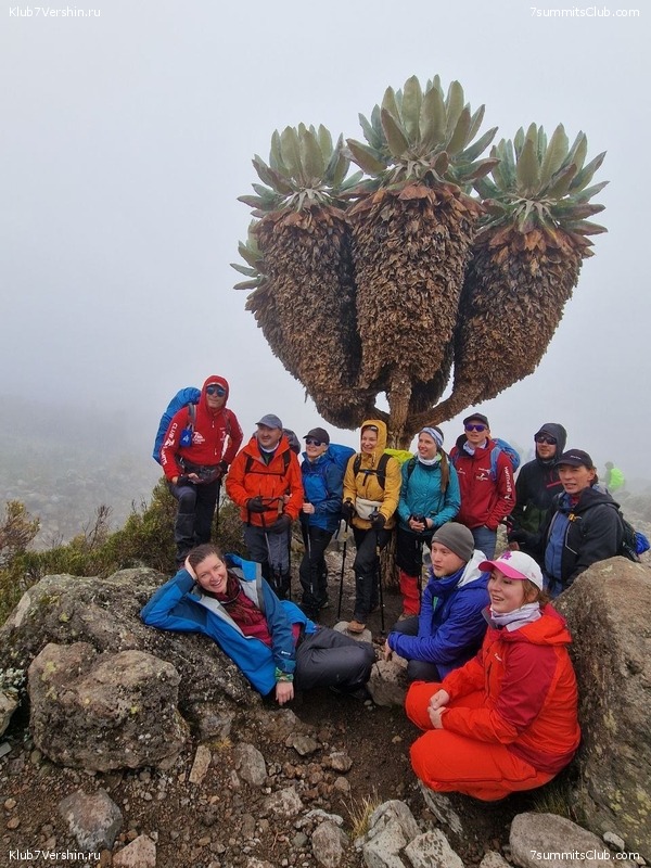 ������������ 2023 �� �������, ���� 74