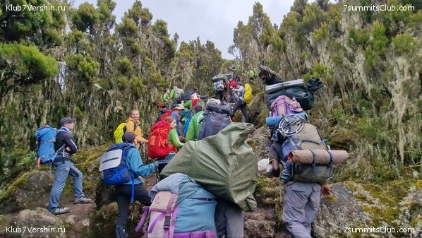 ������������ 2023 �� �������, ���� 15