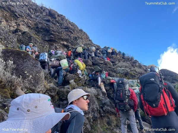 ������������ 2023 �� �������, ���� 42