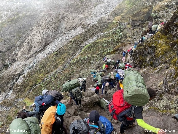 ������������ 2023 �� �������, ���� 43