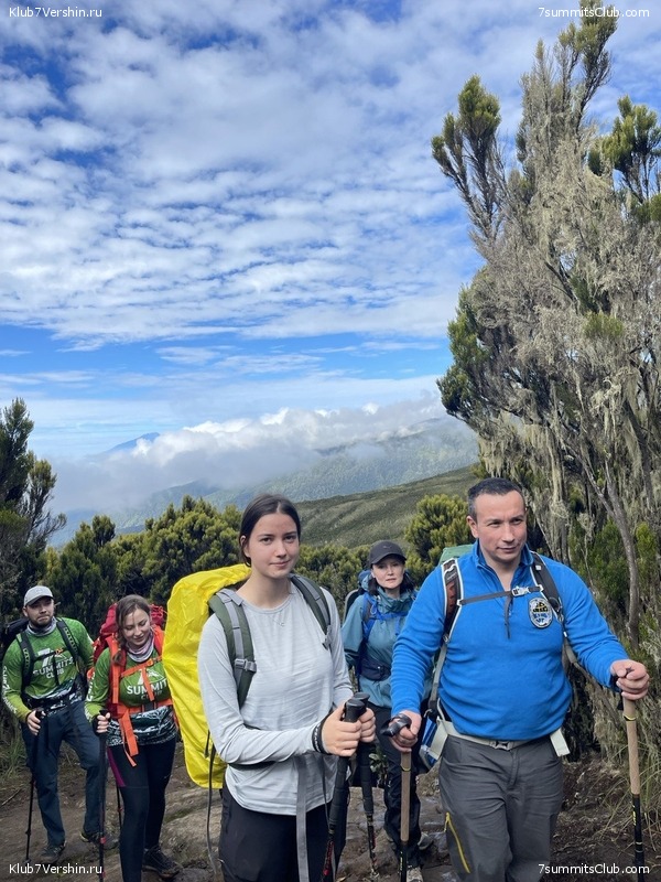 ������������ 2023 �� �������, ���� 81