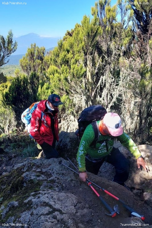 ������������ 2023. ������ �. �������. ������ ������, ���� 158