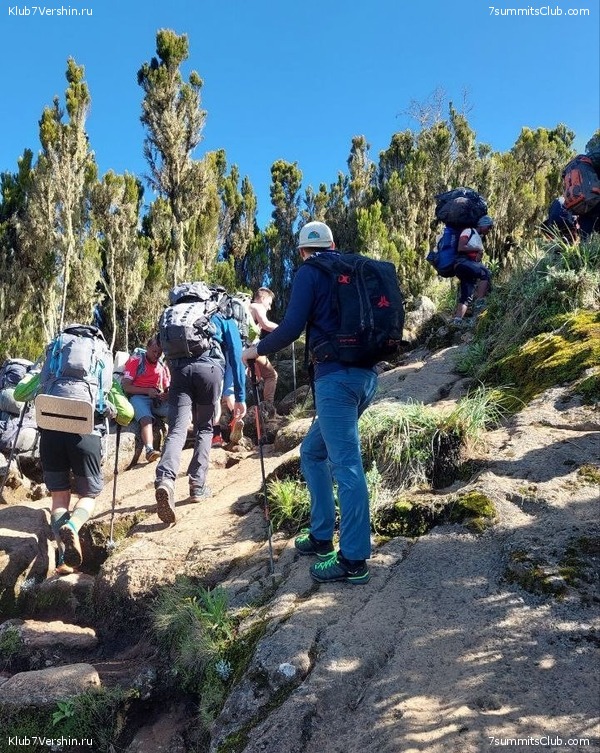 ������������ 2023. ������ �. �������. ������ ������, ���� 88