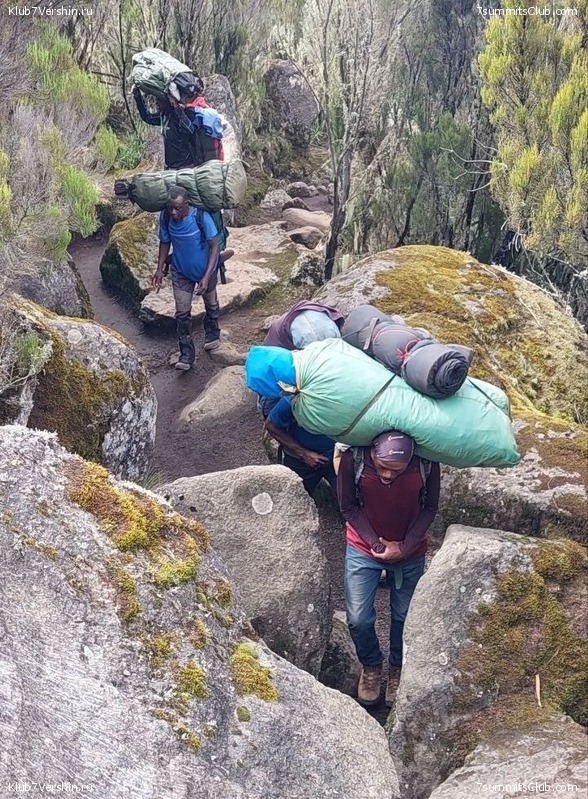 ������������ 2023. ������ �. �������. ������ ������, ���� 130