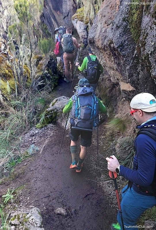 ������������ 2023. ������ �. �������. ������ ������, ���� 152