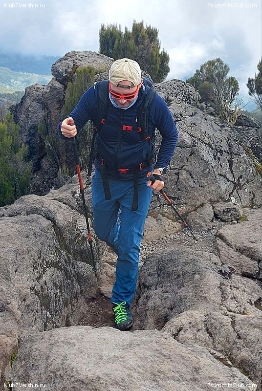 ������������ 2023. ������ �. �������. ������ ������, ���� 156