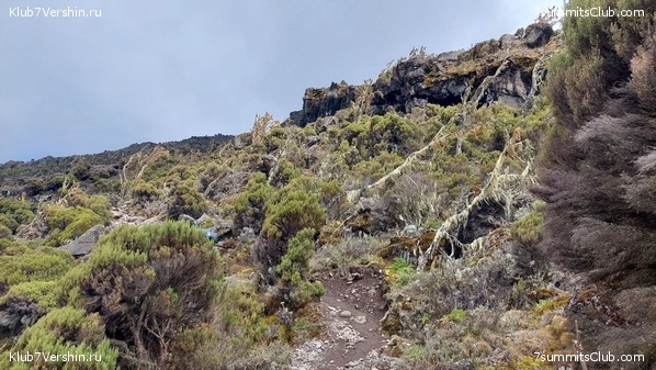 ������������ 2023. ������ �. �������. ������ ������, ���� 7