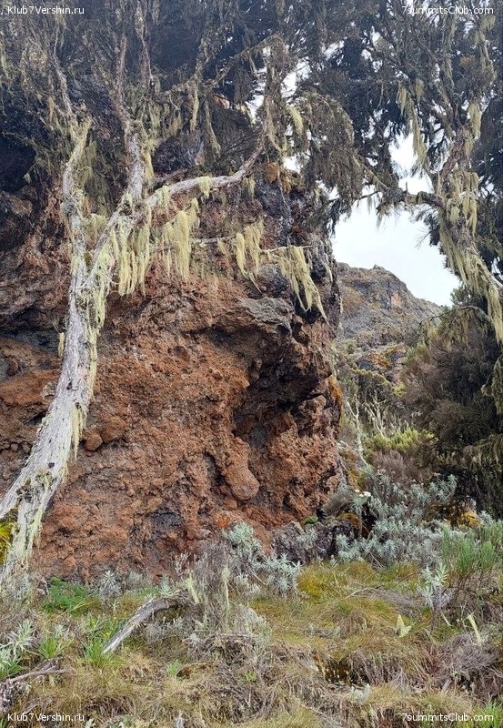 ������������ 2023. ������ �. �������. ������ ������, ���� 150