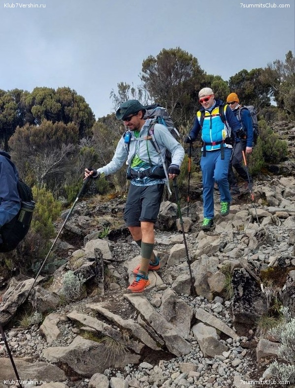 ������������ 2023. ������ �. �������. ������ ������, ���� 111