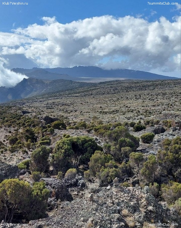 ������������ 2023. ������ �. �������. ������ ������, ���� 89