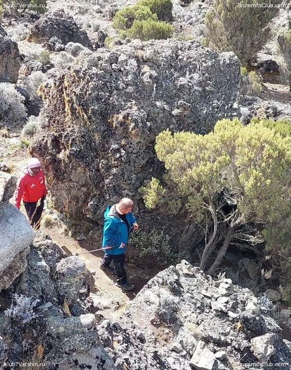 ������������ 2023. ������ �. �������. ������ ������, ���� 93