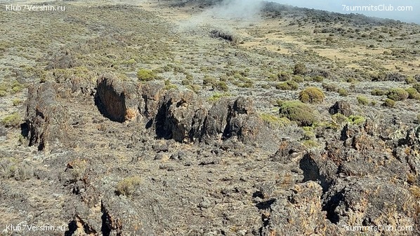 ������������ 2023. ������ �. �������. ������ ������, ���� 11