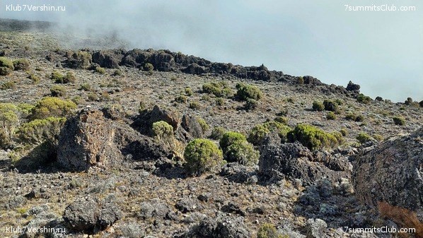 ������������ 2023. ������ �. �������. ������ ������, ���� 12