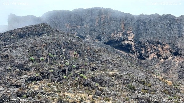 ������������ 2023. ������ �. �������. ������ ������, ���� 15