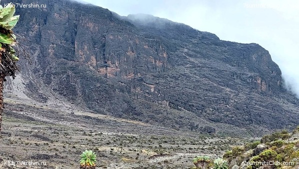 ������������ 2023. ������ �. �������. ������ ������, ���� 16