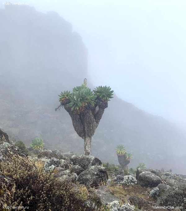 ������������ 2023. ������ �. �������. ������ ������, ���� 53