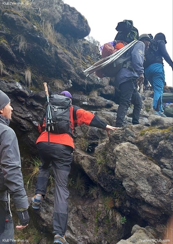 ������������ 2023. ������ �. �������. ������ ������, ���� 139