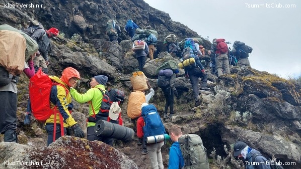 ������������ 2023. ������ �. �������. ������ ������, ���� 19